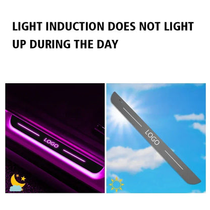 Custom LED Door Light