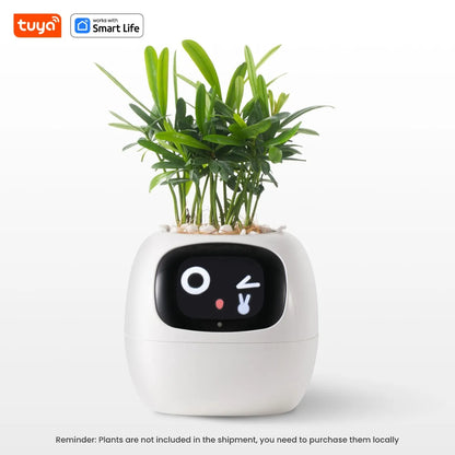 Smart Pet Planter