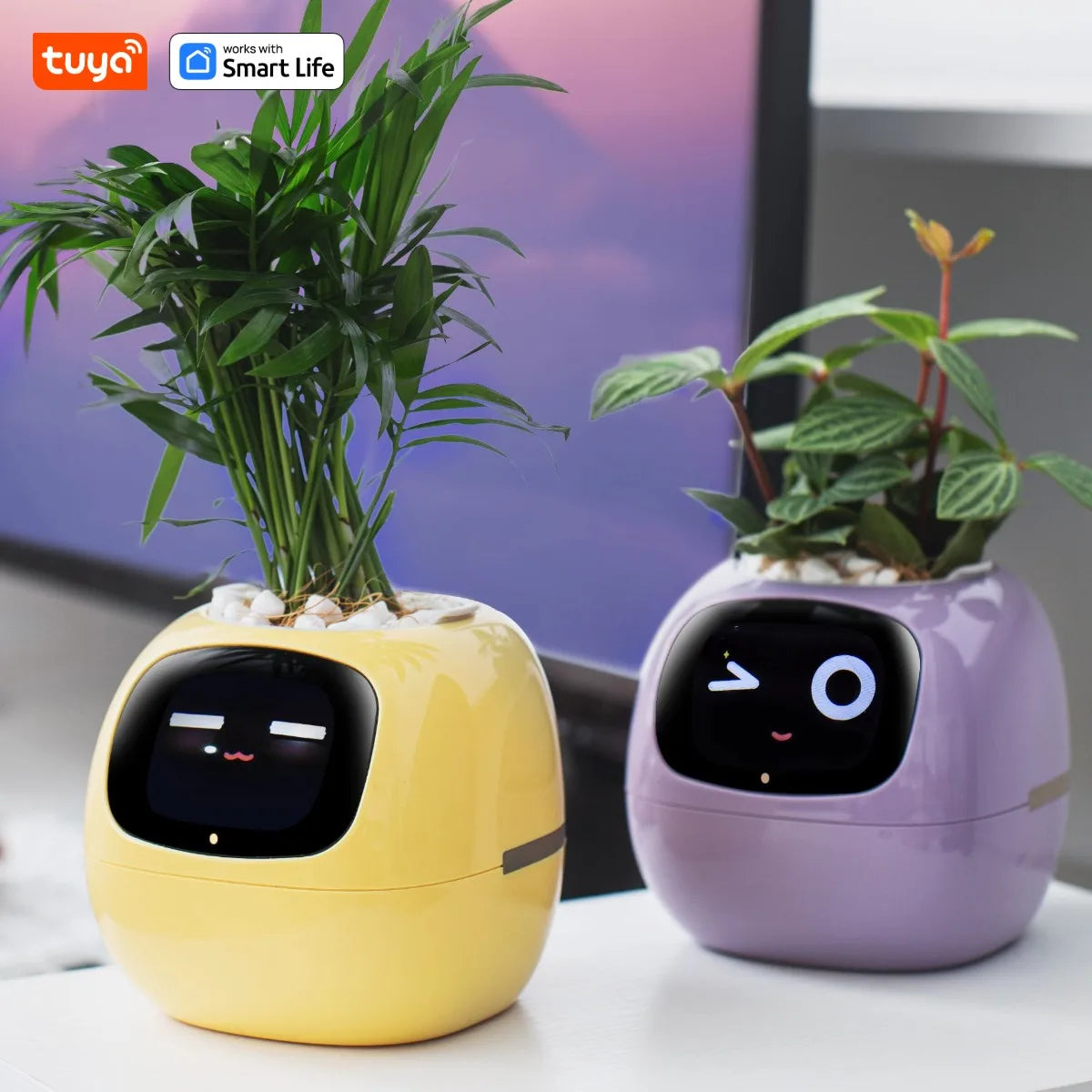 Smart Pet Planter