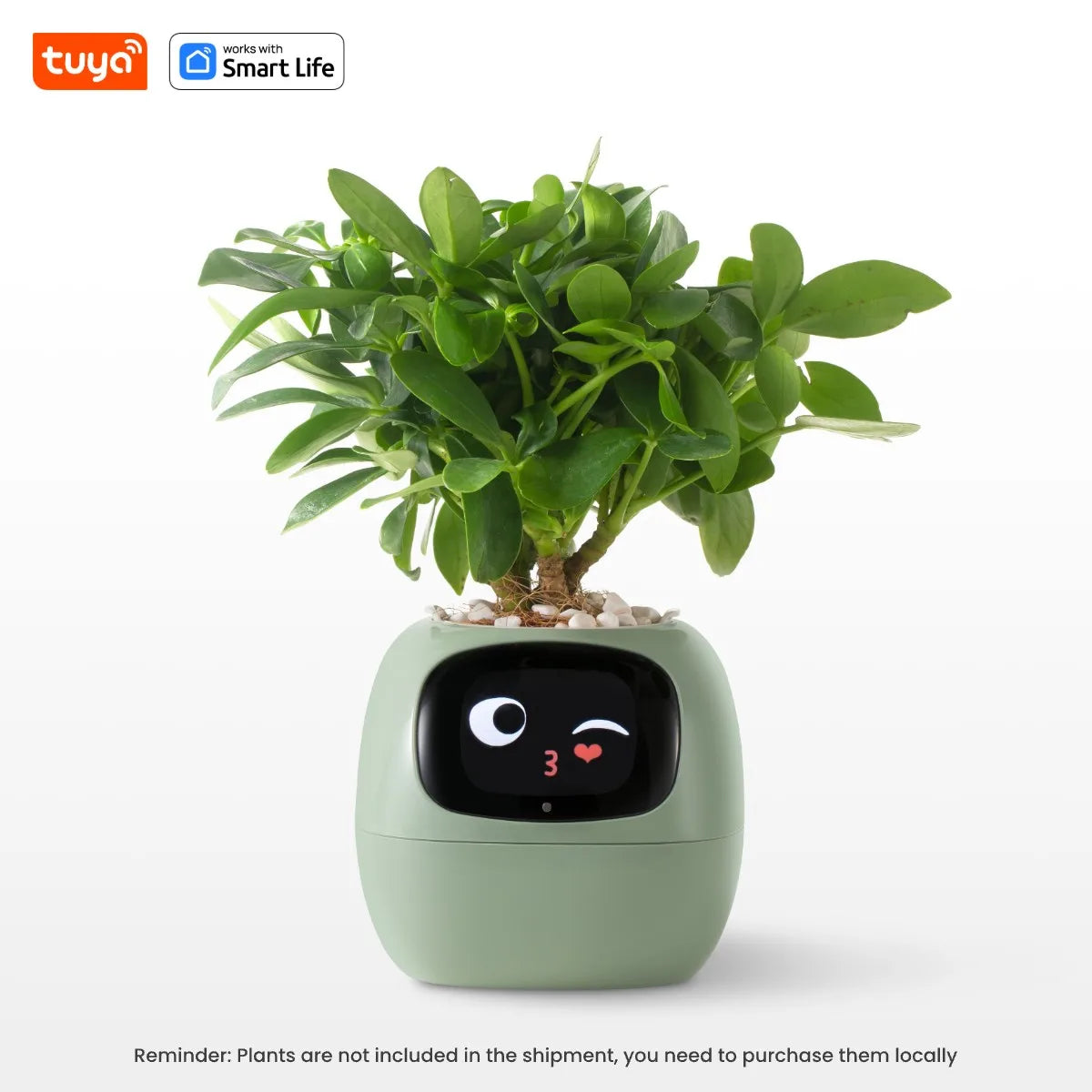 Smart Pet Planter